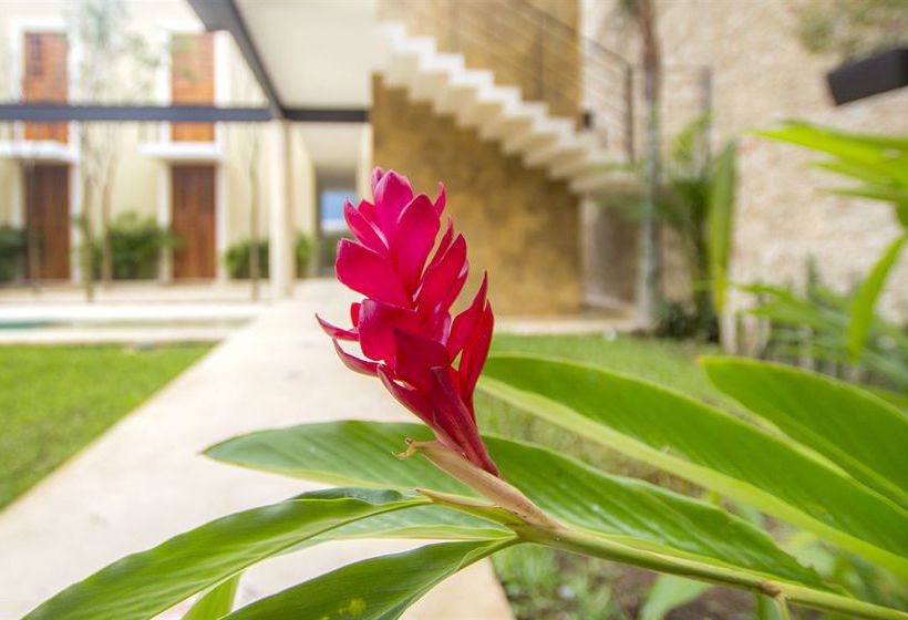 Hotel Koox Casa De Las Palomas Boutique  | Mérida | Yucatan | México 19