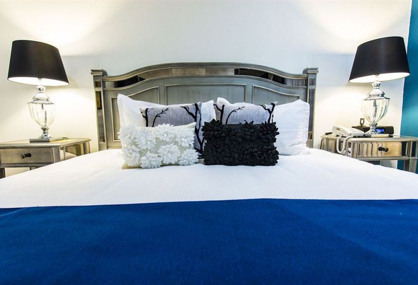 Hotel Colombe Boutique  | Xalapa-Enriquez | Veracruz | Mexico 6