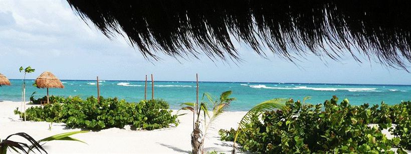 Hotel Almaplena Eco Beachresort  | Mahahual | Quintana Roo | México 1
