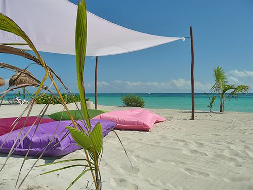 Hotel Almaplena Eco Beachresort  | Mahahual | Quintana Roo | México 14