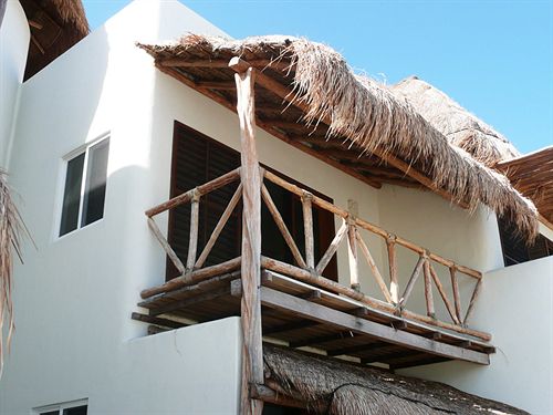 Hotel Almaplena Eco Beachresort  | Mahahual | Quintana Roo | México 5