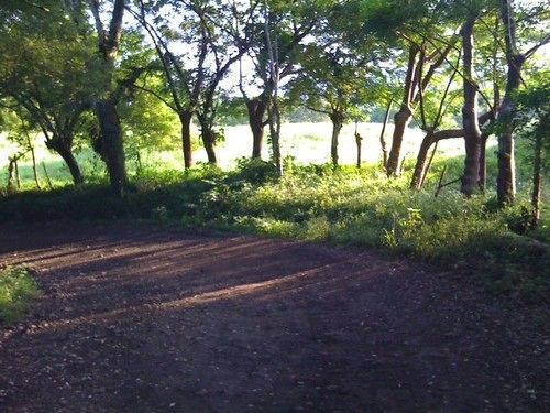 Hotel Prashanti  | Catemaco | Veracruz | Mexiko 10