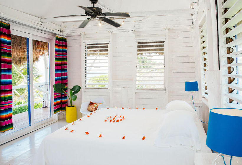 Hotel Al Cielo  | Solidaridad | Quintana Roo | México 16