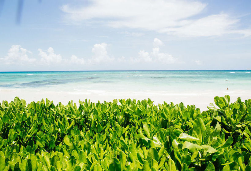 Hotel Al Cielo  | Solidaridad | Quintana Roo | México 2