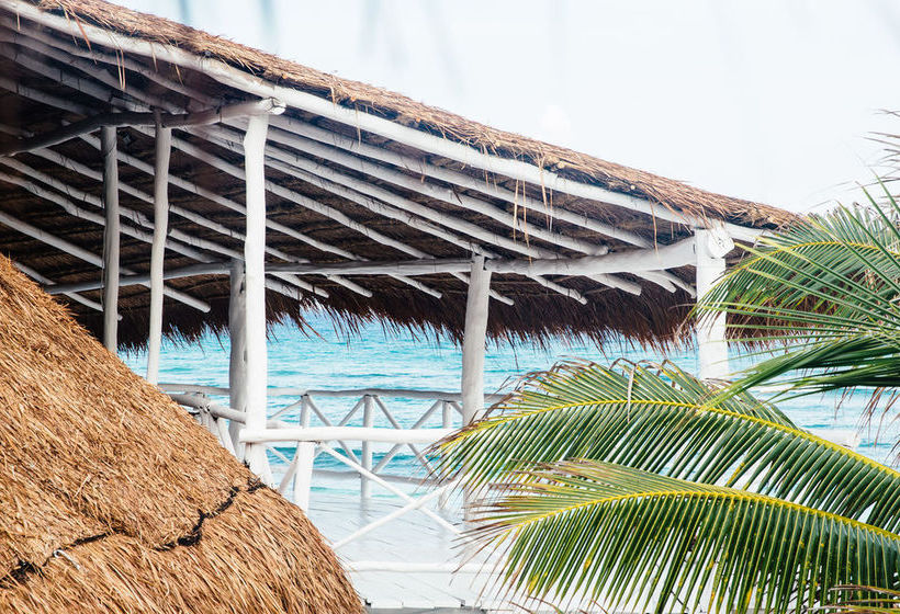 Hotel Al Cielo  | Solidaridad | Quintana Roo | México 4