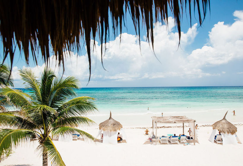 Hotel Al Cielo  | Solidaridad | Quintana Roo | México 5