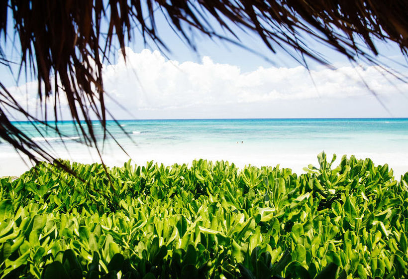 Hotel Al Cielo  | Solidaridad | Quintana Roo | México 7