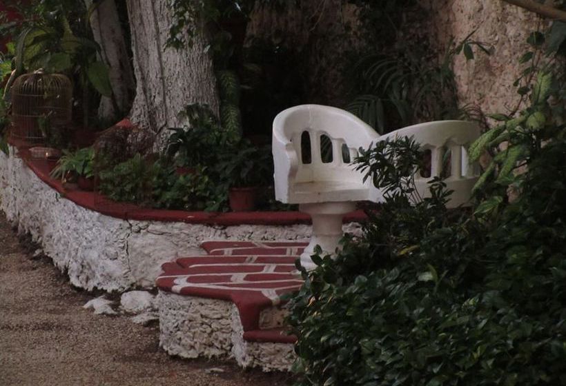 Hotel Holly  | Mérida | Yucatan | México 13