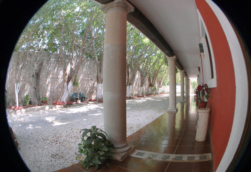 Hotel Holly  | Mérida | Yucatan | México 14