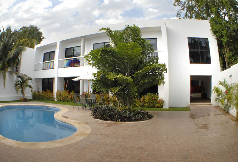 Hotel Holly  | Mérida | Yucatan | México 16