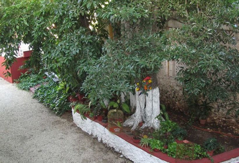 Hotel Holly  | Mérida | Yucatan | México 3