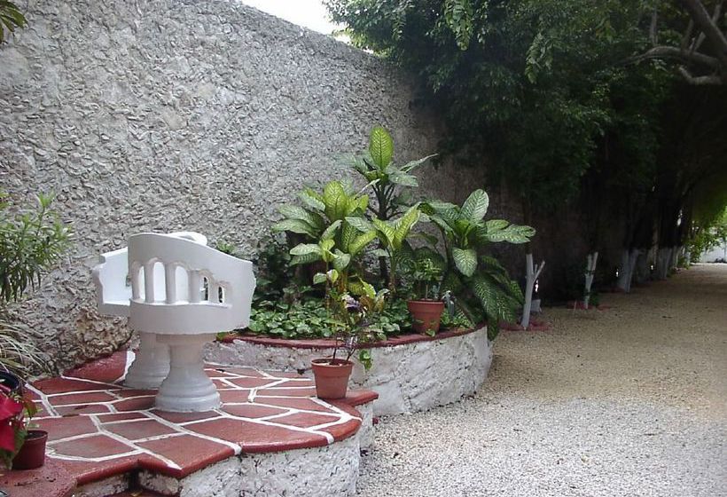 Hotel Holly  | Mérida | Yucatan | México 6