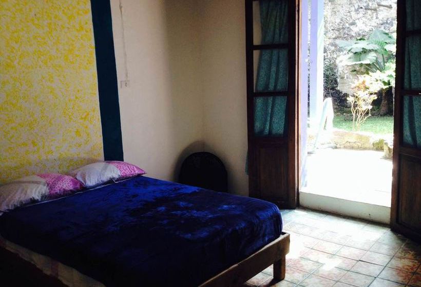 Hostal Catre De Mi Corazón  | Xalapa-Enríquez | Veracruz | México 1