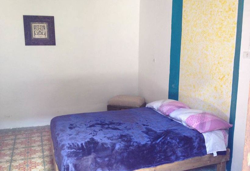 Hostal Catre De Mi Corazón  | Xalapa-Enríquez | Veracruz | México 3