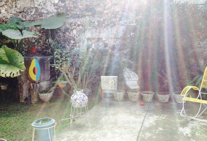 Hostal Catre De Mi Corazón  | Xalapa-Enríquez | Veracruz | México 5