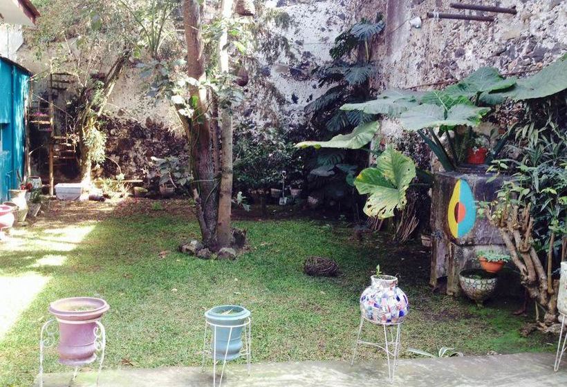 Hostal Catre De Mi Corazón  | Xalapa-Enríquez | Veracruz | México 6