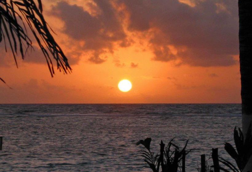 Hotel Margarita Del Sol Costa Maya  | Mahahual | Quintana Roo | México 3