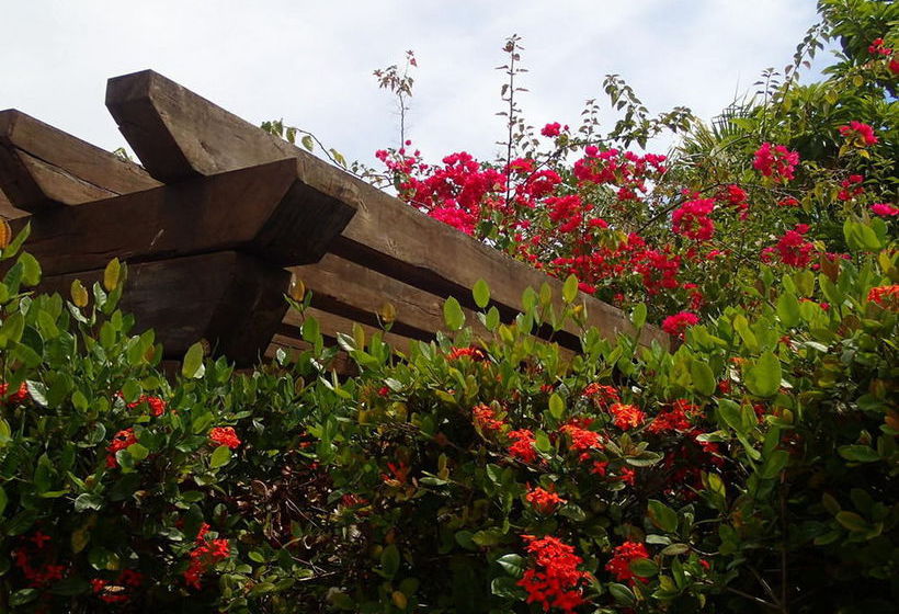 Hotel Margarita Del Sol Costa Maya  | Mahahual | Quintana Roo | México 4