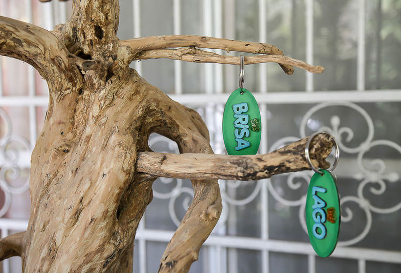 Ecohotel Boutique Casa De Agua  | Actopan | Veracruz | México 14