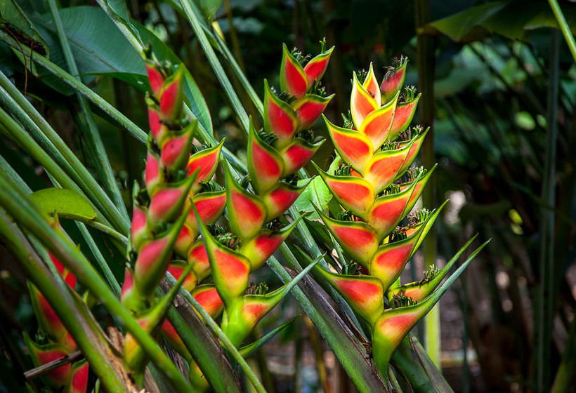 Ecohotel Boutique Casa De Agua  | Actopan | Veracruz | México 19