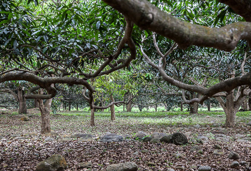 Ecohotel Boutique Casa De Agua  | Actopan | Veracruz | México 20