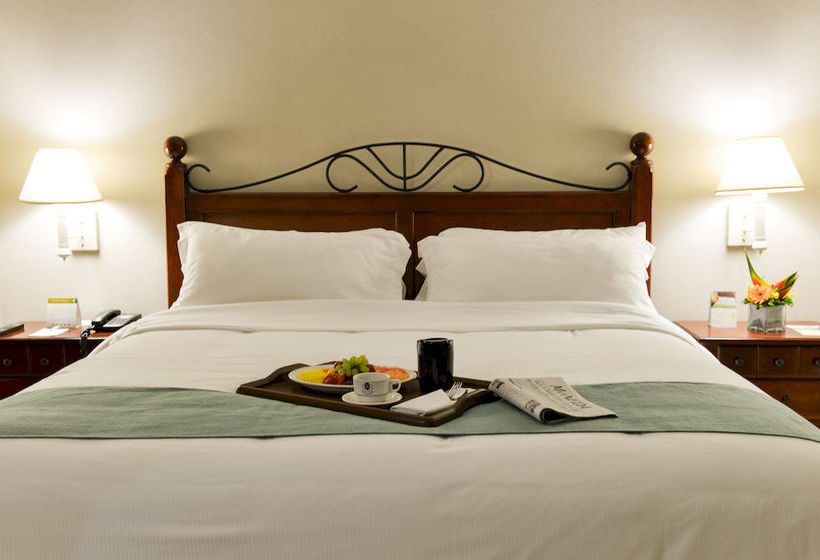 Hotel Arcos Del Parque  | Acayuca | Veracruz | México 10