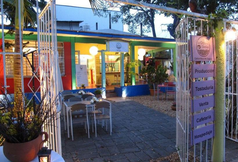 Hotel Casa Del Café Oro De Los Tuxtlas  | Catemaco | Veracruz | México 3