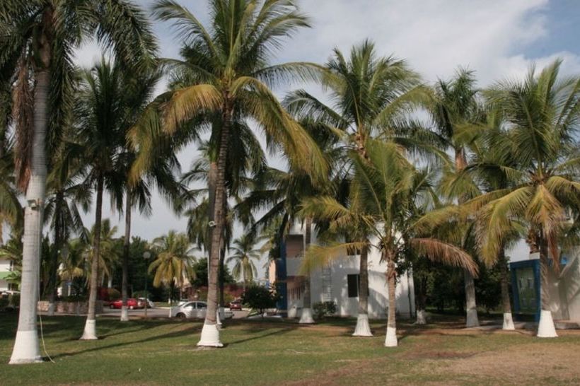 Hotel York  | Guamuchil | Sinaloa | Mexico 9