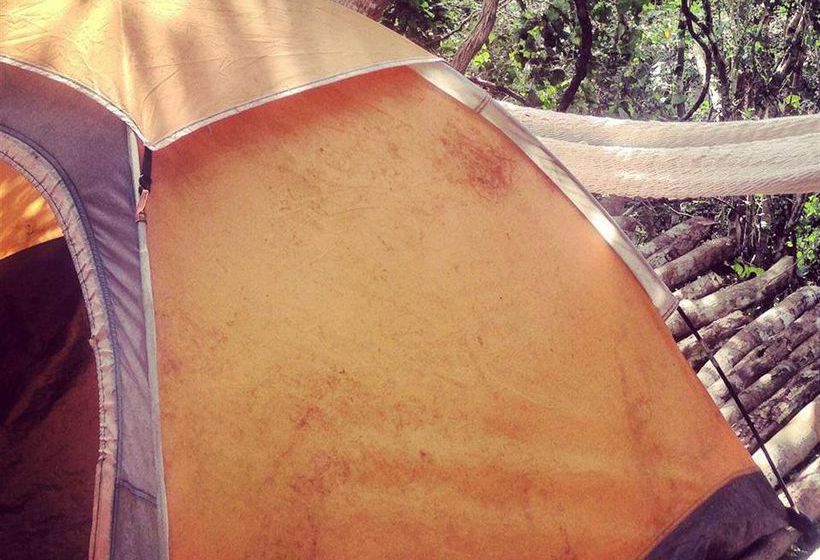 Hostel Lemurian Embassy Eco Village Retreat  | Yaxcabá | Yucatan | Mexico