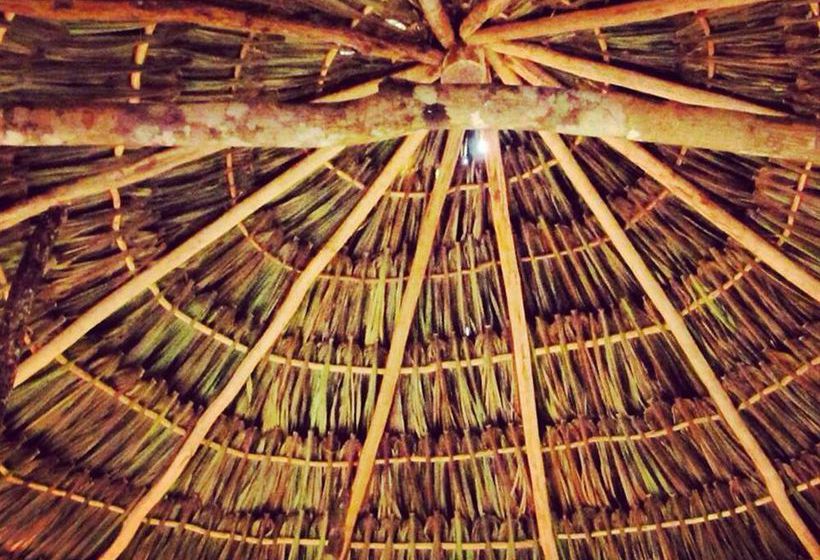 Hostel Lemurian Embassy Eco Village Retreat  | Yaxcabá | Yucatan | Mexico 1