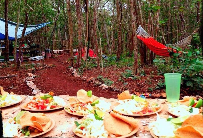 Hostel Lemurian Embassy Eco Village Retreat  | Yaxcabá | Yucatan | Mexico 11