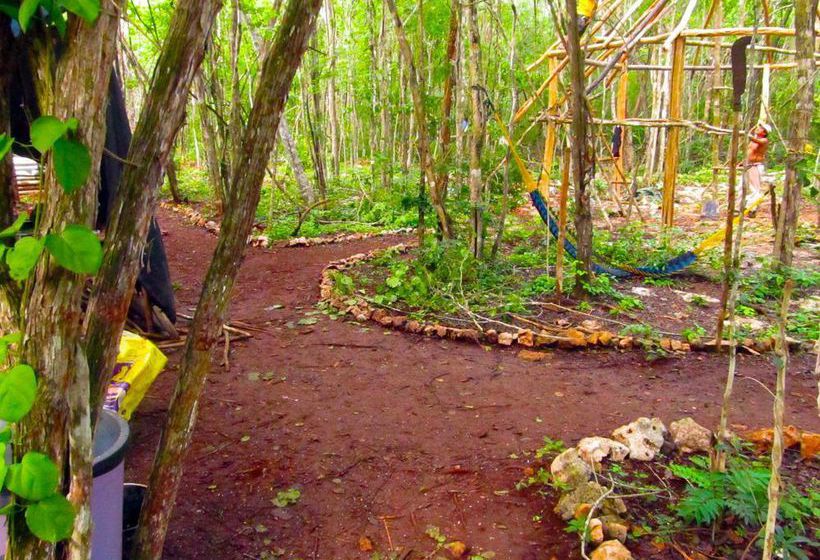 Hostel Lemurian Embassy Eco Village Retreat  | Yaxcabá | Yucatan | Mexico 14