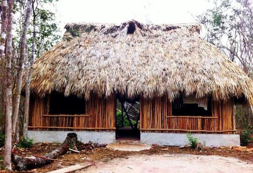 Hostel Lemurian Embassy Eco Village Retreat  | Yaxcabá | Yucatan | Mexico 16