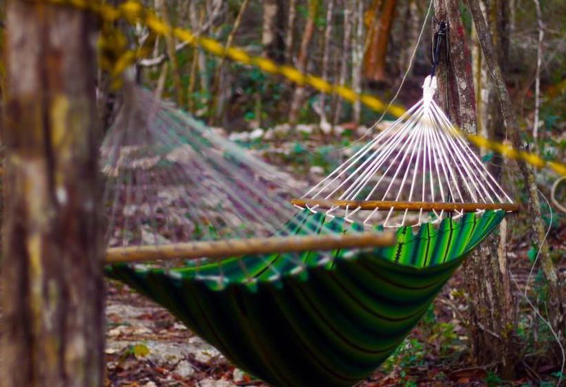 Hostel Lemurian Embassy Eco Village Retreat  | Yaxcabá | Yucatan | Mexico 19