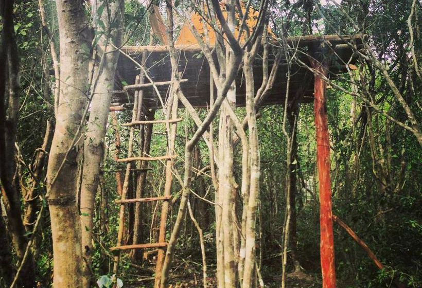 Hostel Lemurian Embassy Eco Village Retreat  | Yaxcabá | Yucatan | Mexico 2