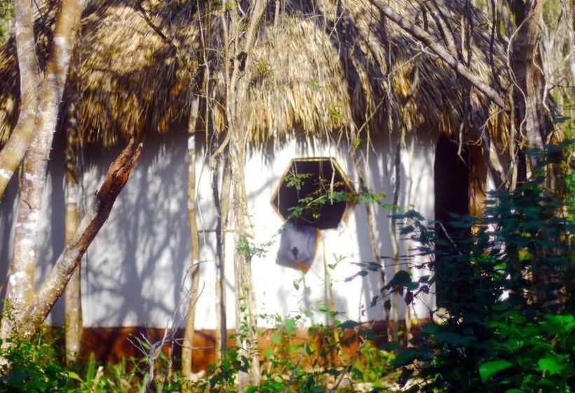 Hostel Lemurian Embassy Eco Village Retreat  | Yaxcabá | Yucatan | Mexico 20