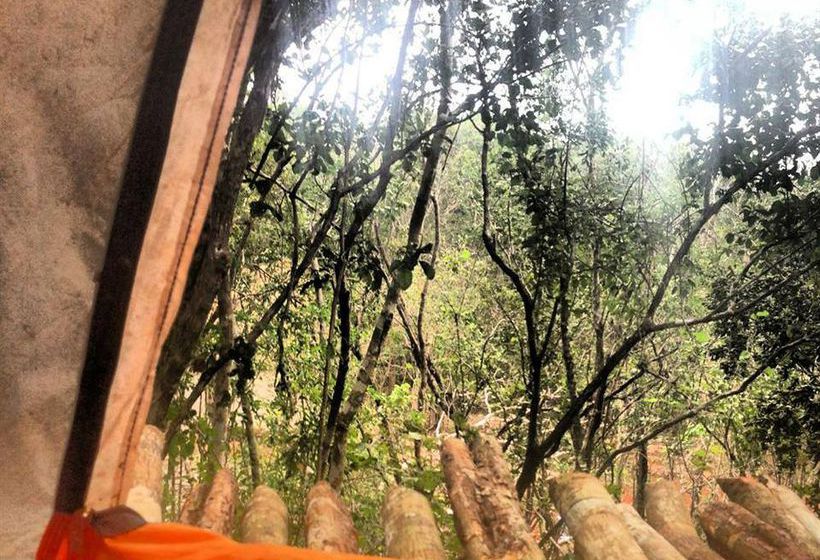 Hostel Lemurian Embassy Eco Village Retreat  | Yaxcabá | Yucatan | Mexico 3