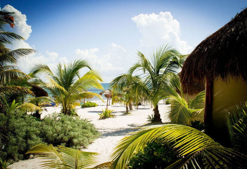 Hotel Glamping Xpu Ha Quintana Roo