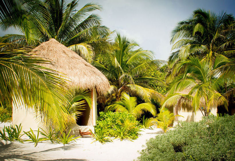 Hotel Glamping Xpu Ha  | Solidaridad | Quintana Roo | México 1