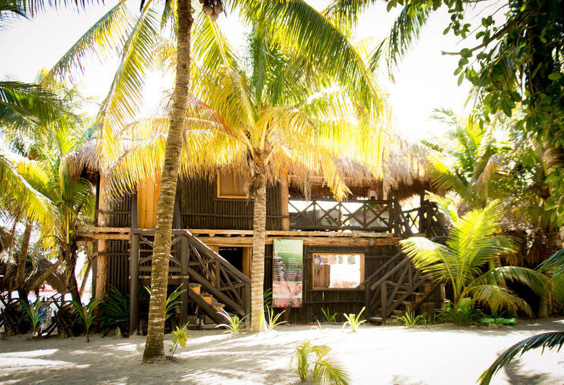 Hotel Glamping Xpu Ha  | Solidaridad | Quintana Roo | México 3