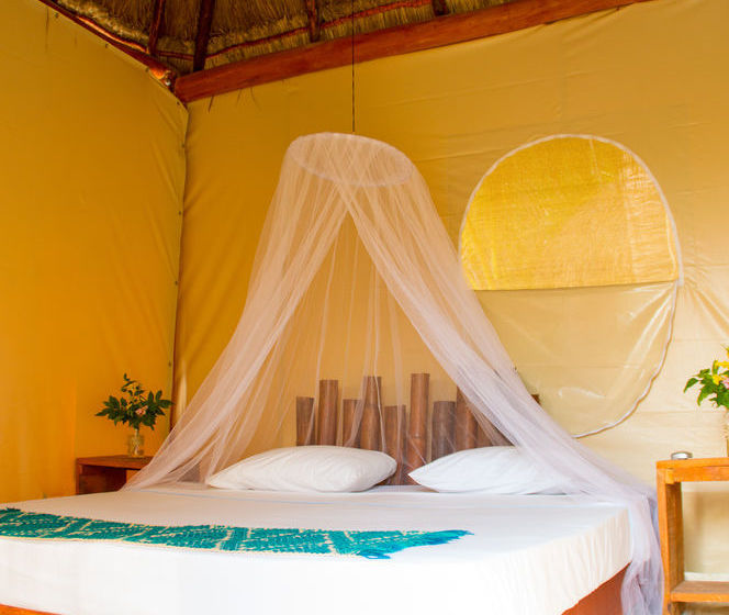 Hotel Glamping Xpu Ha  | Solidaridad | Quintana Roo | México 8