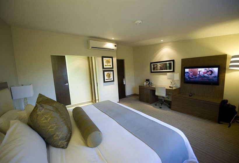 Hotel Antarisuite Valle  | San Pedro Garza Garcia | Nuevo Leon | México 14