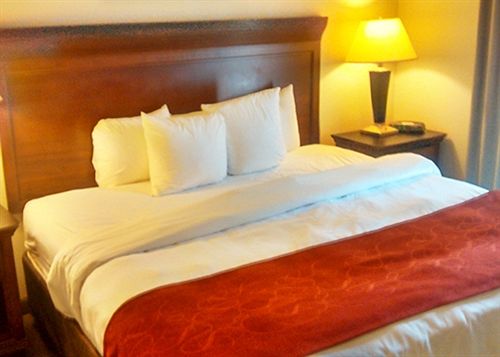 Hotel Comfort Suites Pelham Pelham Alabama