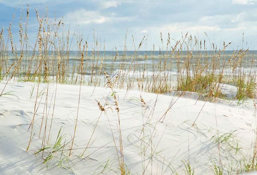 Hampton Inn & Suites Orange Beach Gulf Front  | Orange Beach | Alabama | United States 20