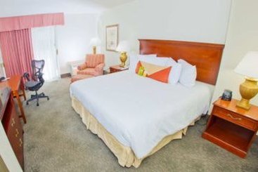Hotel Hilton Garden Inn Orange Beach Beachfront  | Orange Beach | Alabama | United States 13