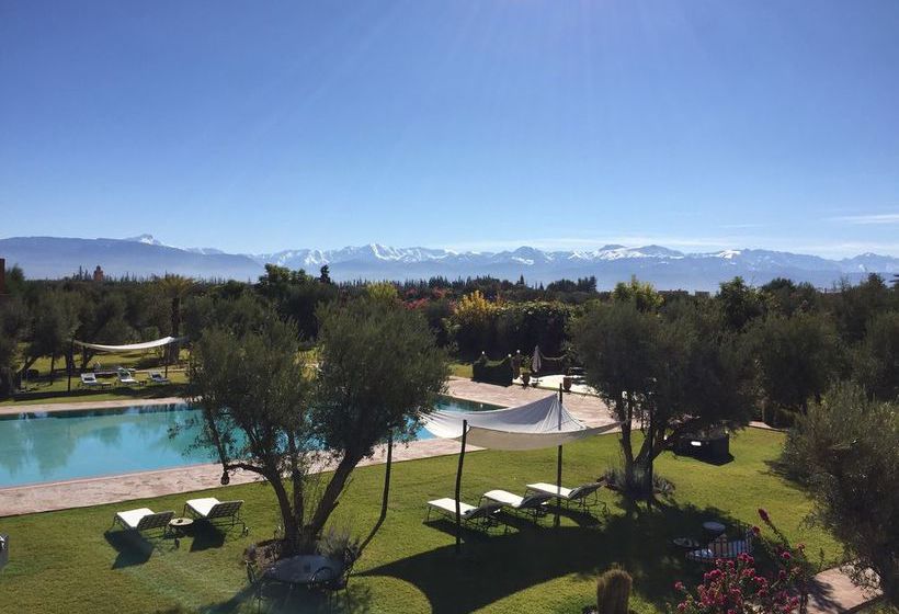 Hôtel Les Jardins De Zyriab  | Marrakech | Marrakech | Hôtels au Maroc 19