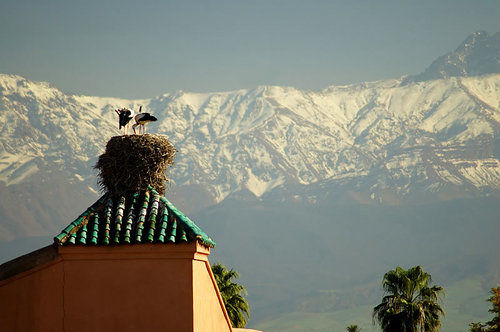 Riad l'Harmattan  | Marrakech | Marrakech | Hôtels au Maroc 16