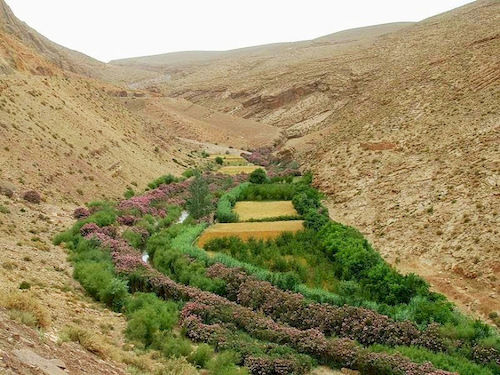 Riad l'Harmattan  | Marrakech | Marrakech | Hôtels au Maroc 17