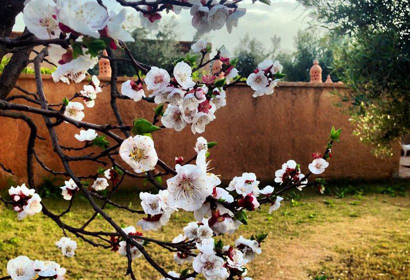 Hôtel Villa & Tente Manzil La Tortue  | Marrakech | Marrakech | Hôtels au Maroc 18