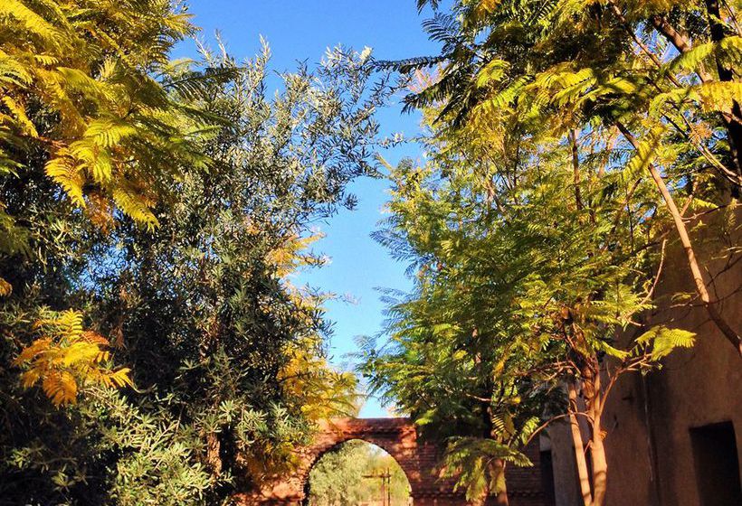 Hôtel Villa & Tente Manzil La Tortue  | Marrakech | Marrakech | Hôtels au Maroc 8